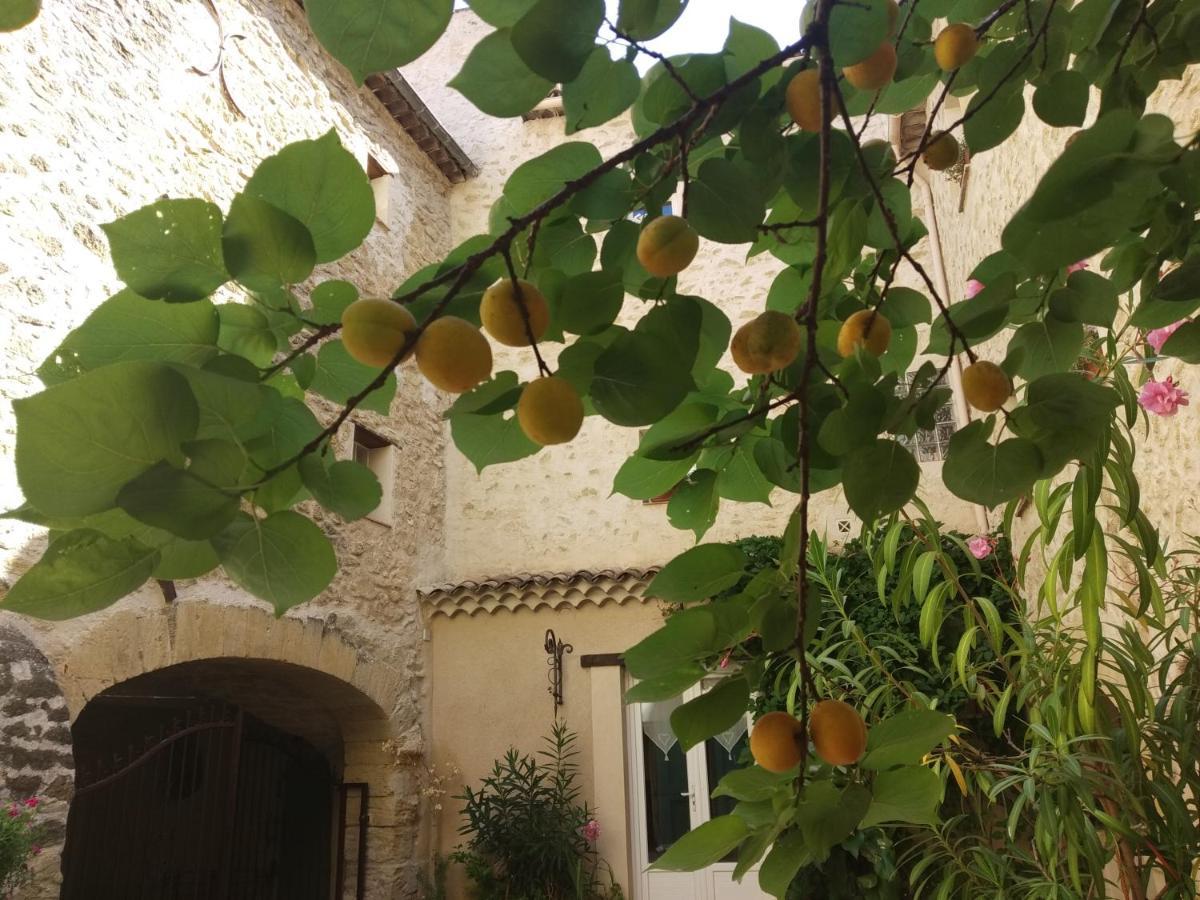 Le Térébinthe B&B Lauris Esterno foto